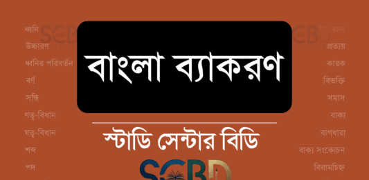 বাংলা ব্যাকরণ - বাংলা ব্যাকরণের আলোচ্য বিষয়সমূহ